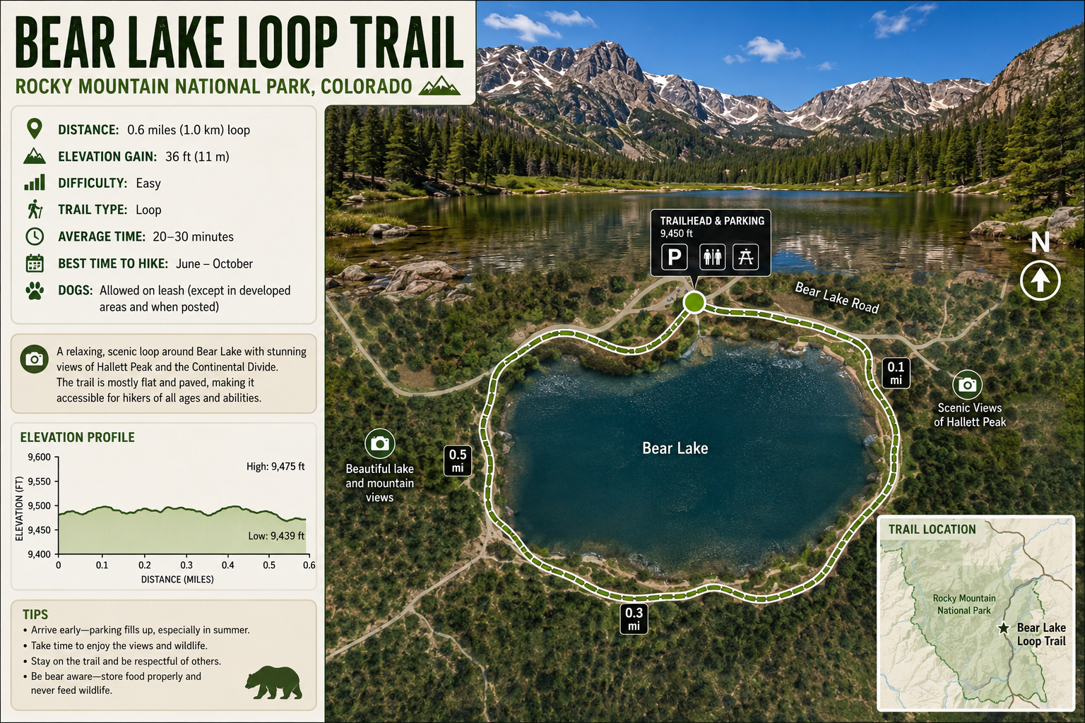 Bear Lake Loop Trail: Rocky Mountain National Park's Perfect Starter Hike