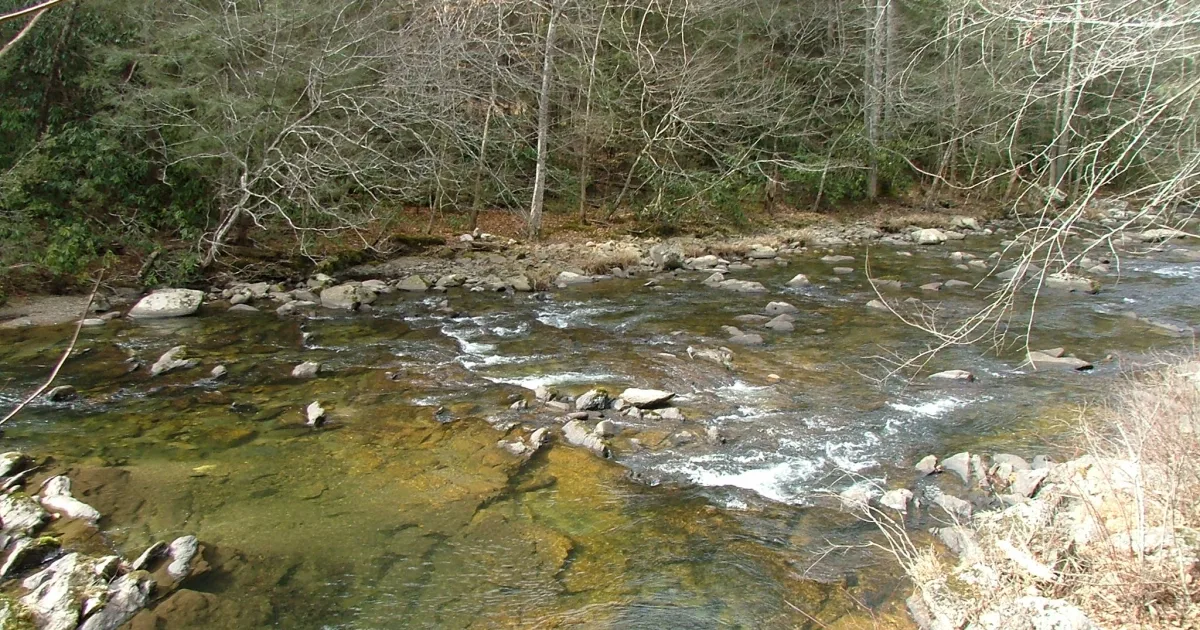 Abrams Falls: The Most Rewarding Hike in Cades Cove
