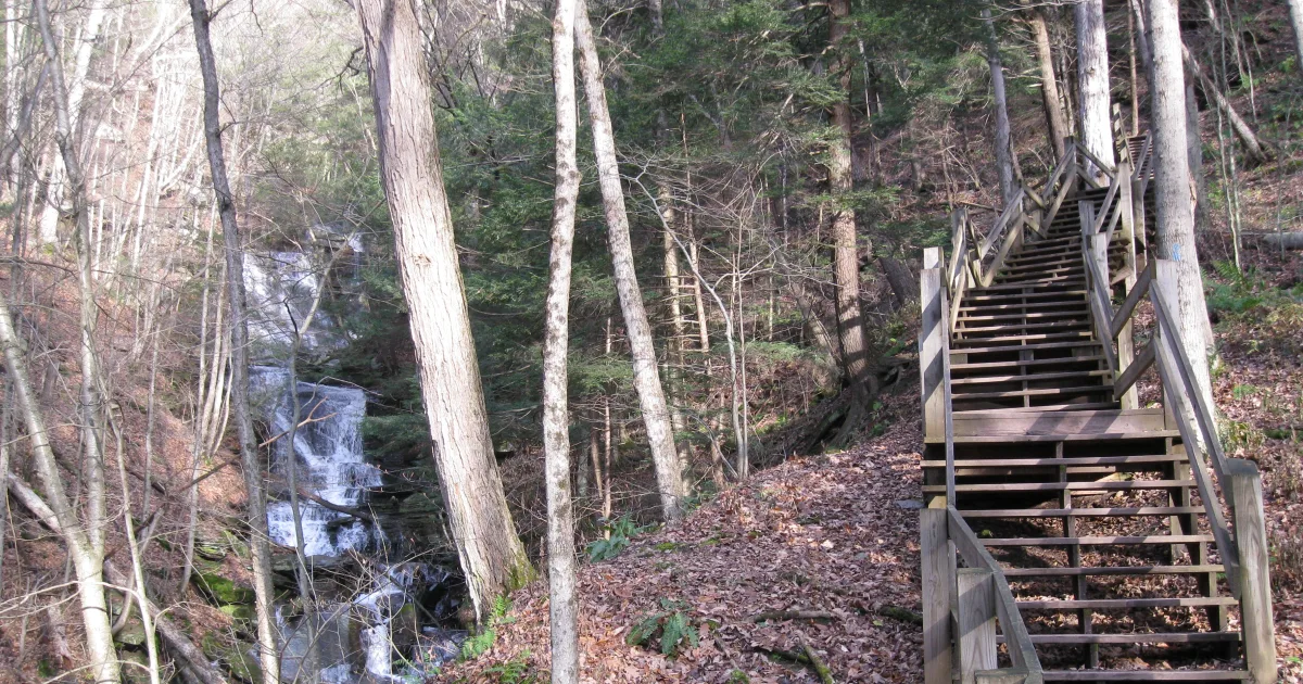Addison Oaks MTB