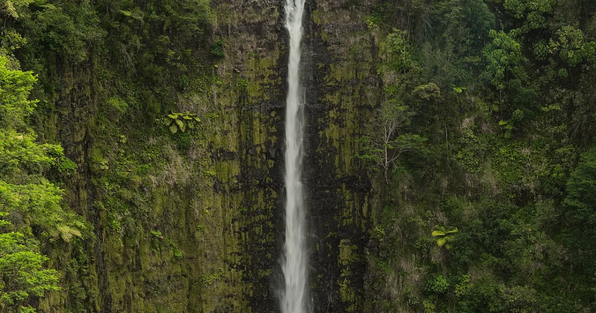 Akaka Falls Trail