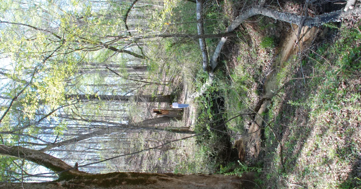 Alabama Nature Center Trail