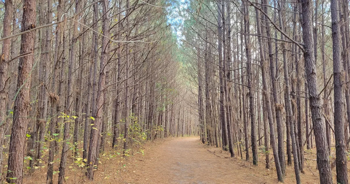 Allatoona Creek Park MTB — Allatoona Creek Park, GA