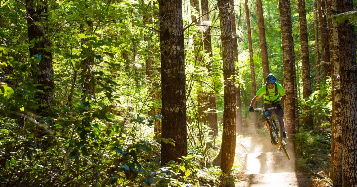 Alsea Falls MTB Loop