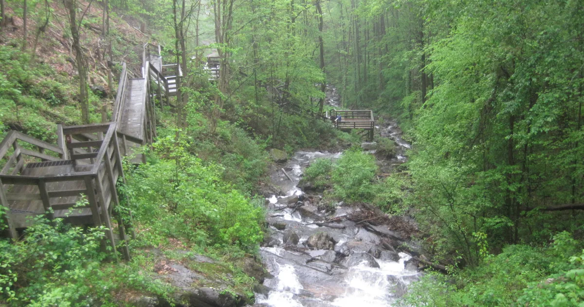 Amicalola Falls: The Tallest Cascading Waterfall East of the Mississippi