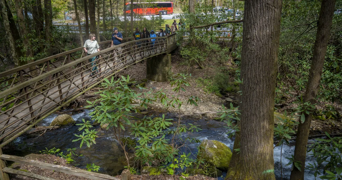 Anna Ruby Falls: Twin Waterfalls in the Chattahoochee National Forest