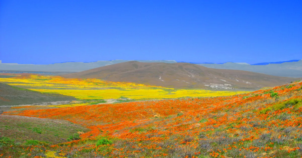 Antelope Valley Trail