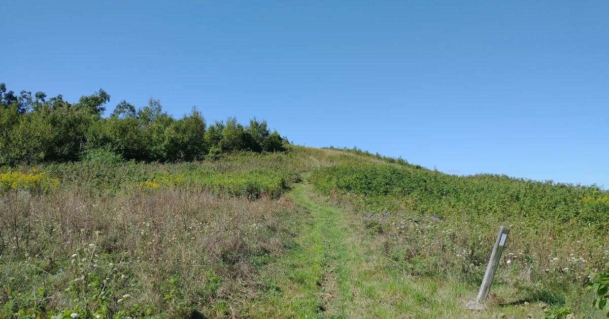 Appalachian Trail Alabama Section