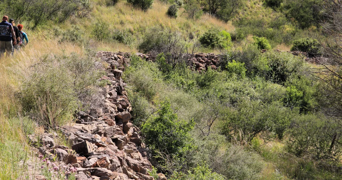 Arbuckle Wilderness Trail
