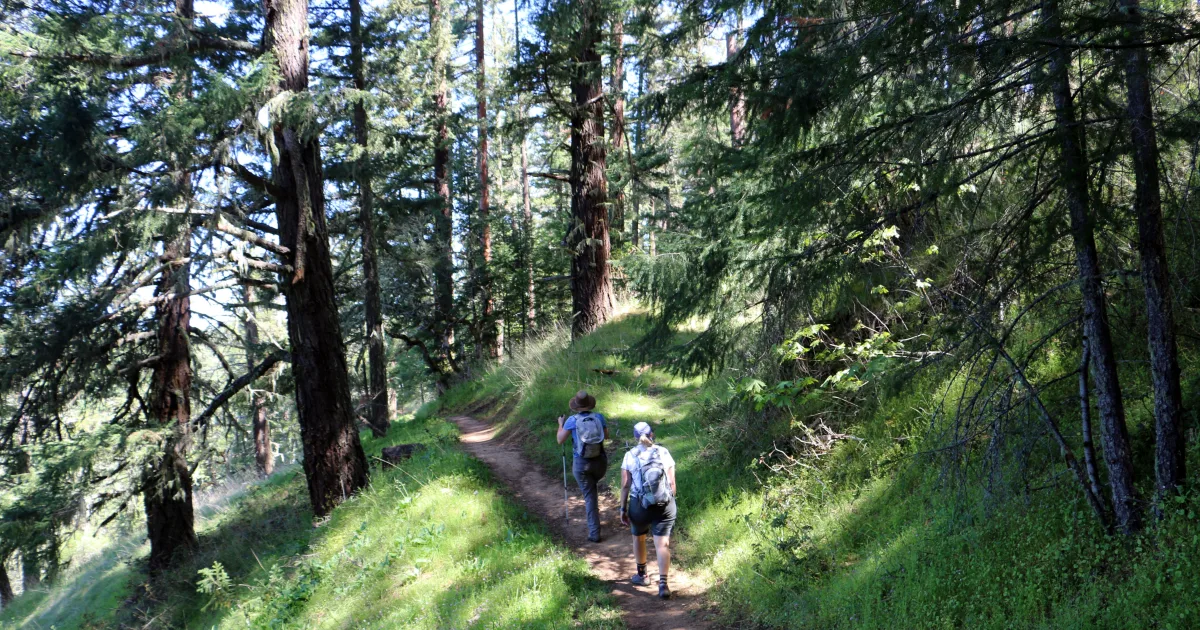 Ashland MTB — Glenview Drive