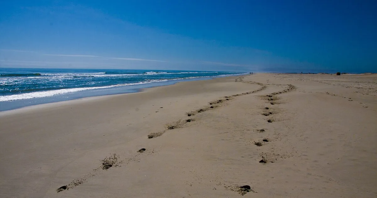 Assateague Island Beach Trail