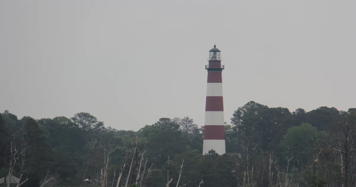 Assateague Island Bike Path