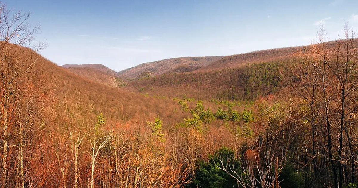 Bald Eagle State Forest — Haystacks Overlook