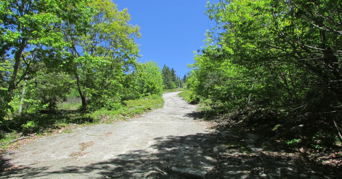 Bald Mountain — Franconia