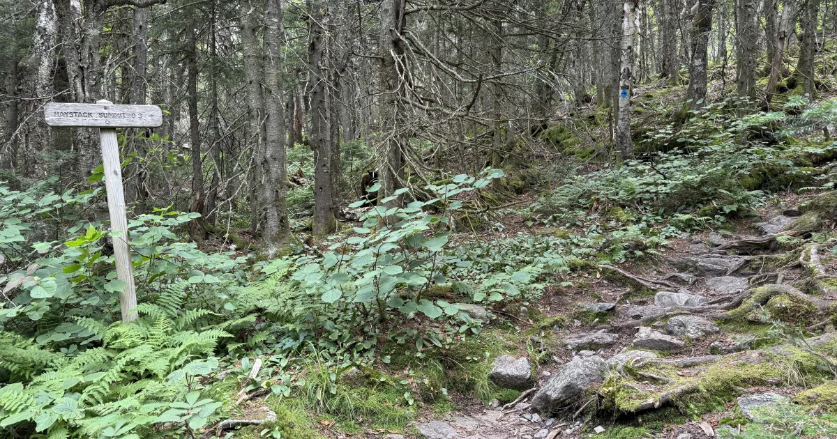 Bald Mountain: Haystack Loop — Wilmington, Vermont