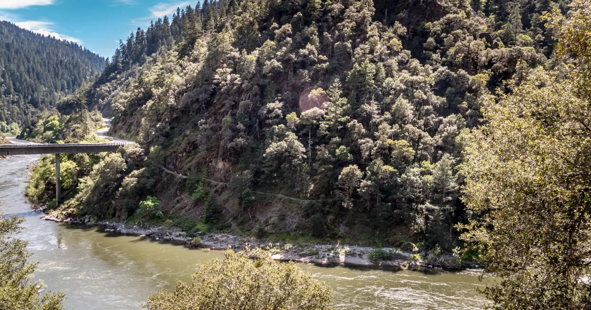 Bald River Falls: The Classic Roadside Plunge of Cherokee National Forest