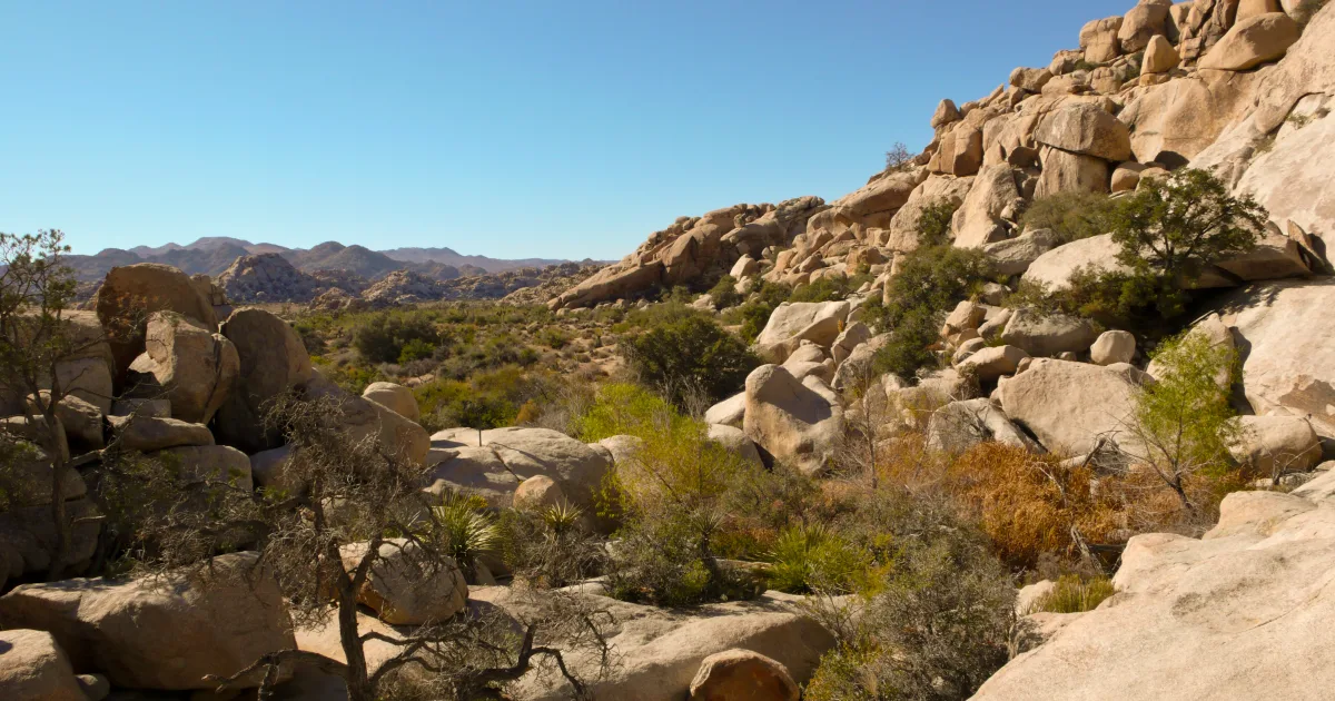 Barker Dam Trail