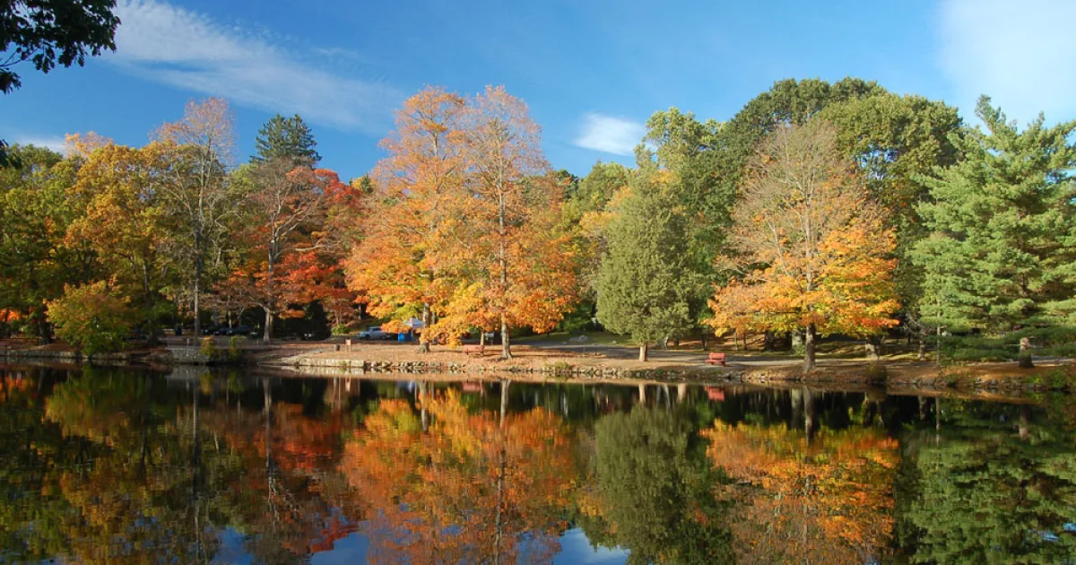 Bartlett Arboretum Trail