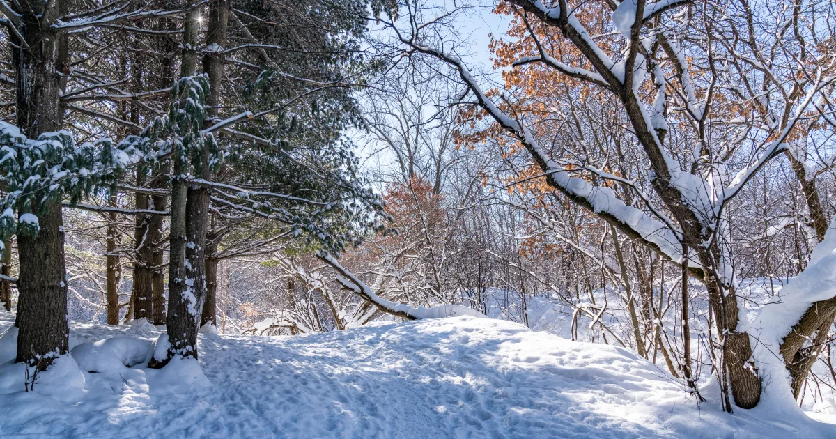 Battle Creek Regional Trail