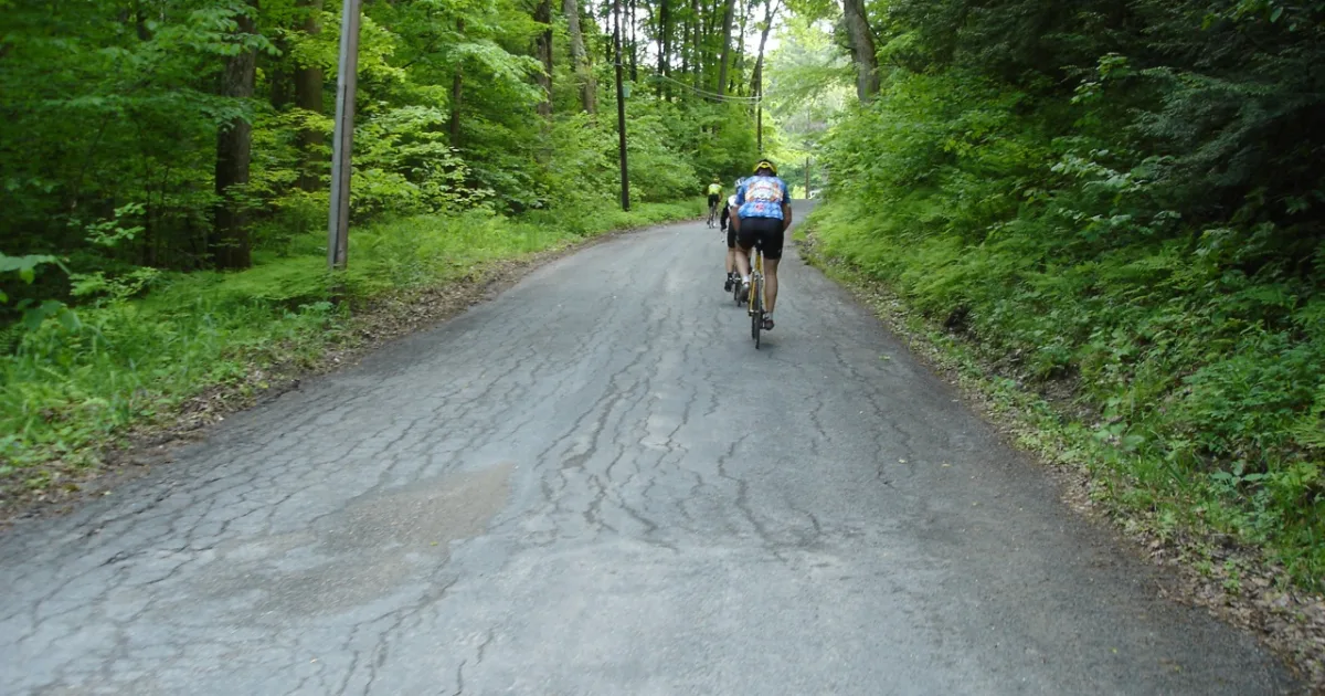 Beartown State Forest Trail