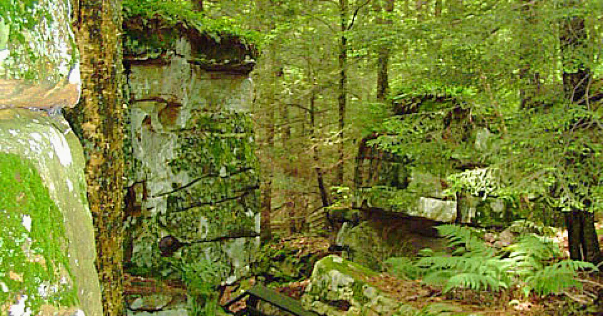 Beartown State Park Trail — Hillsboro, West Virginia