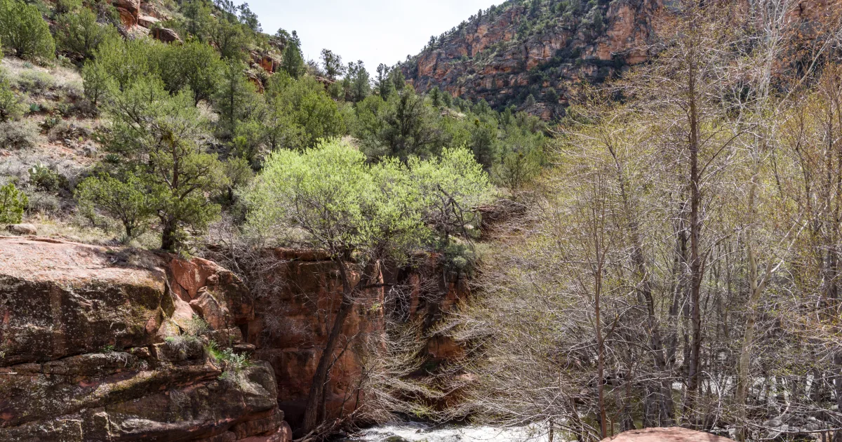Bell Canyon Falls: A Wasatch Hidden Gem Above Sandy
