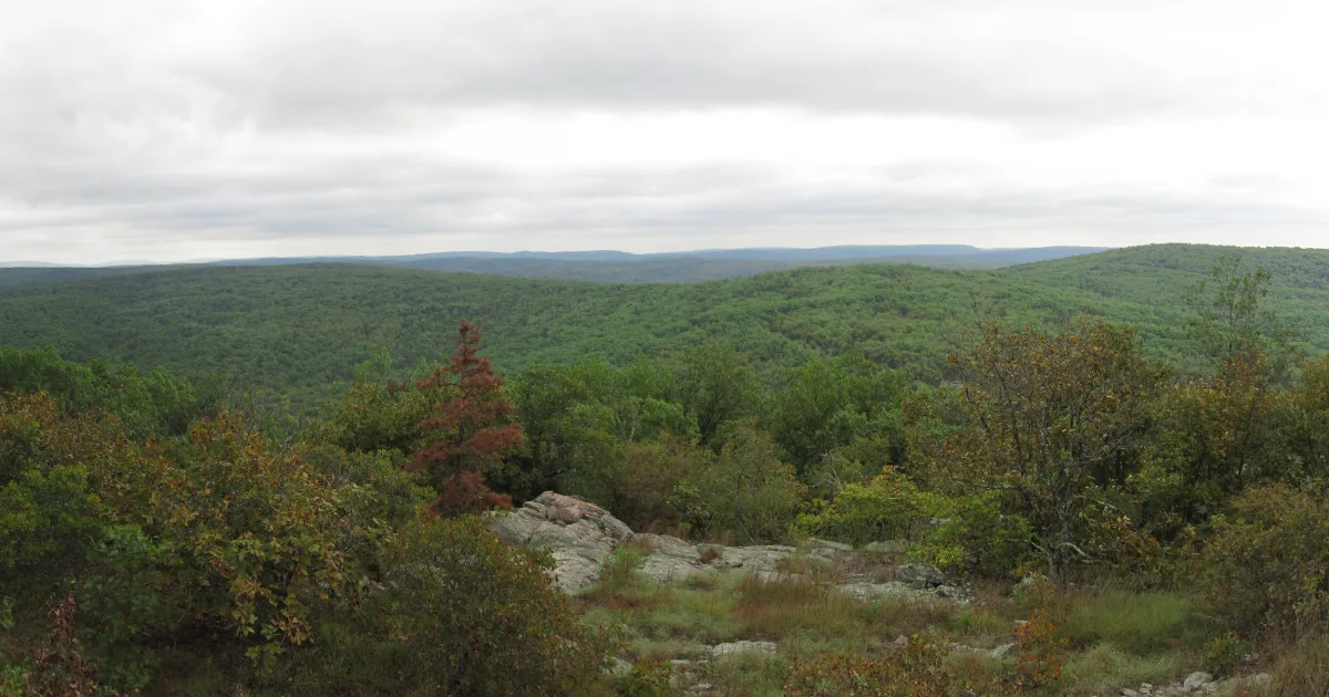 Bell Mountain Wilderness Trail