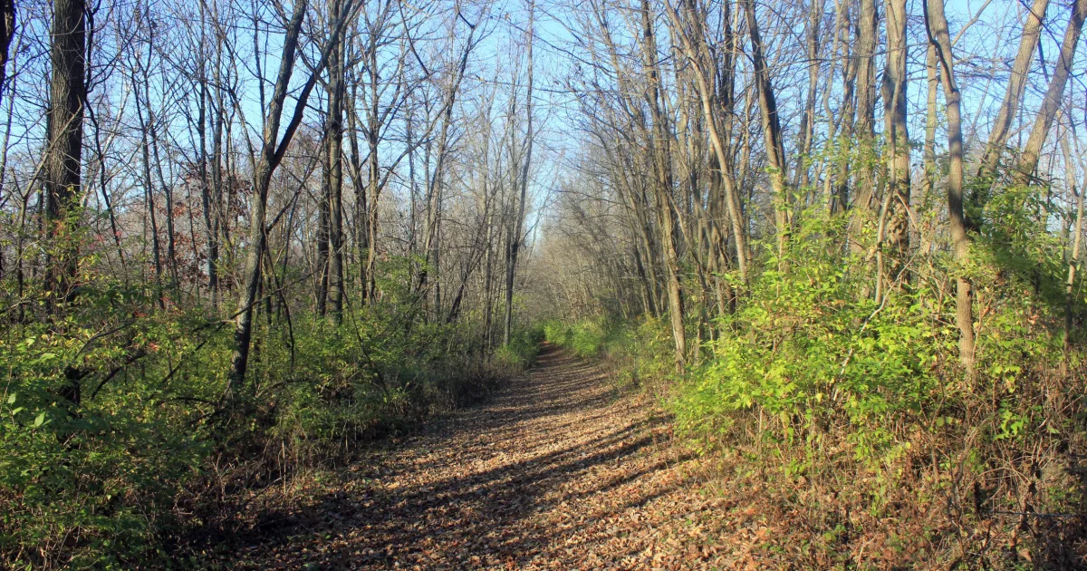 Bellevue State Park Trail