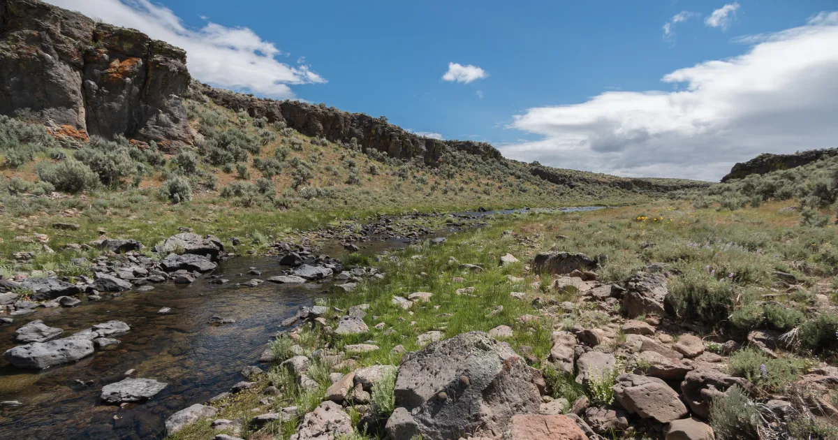 Big Creek Reservoir Trail