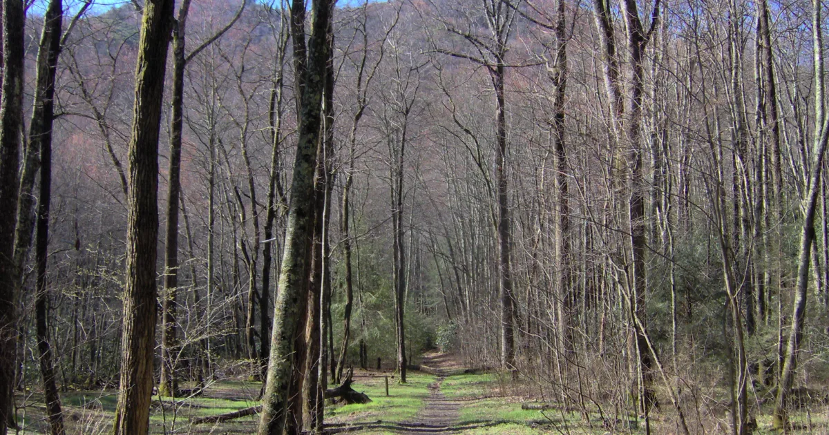 Big Creek Trail — Lumber Heritage Region