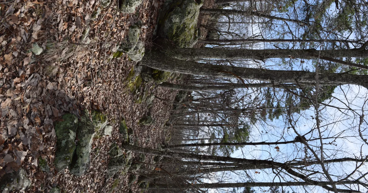 Big Hill Pond MTB — Big Hill Pond SP, TN