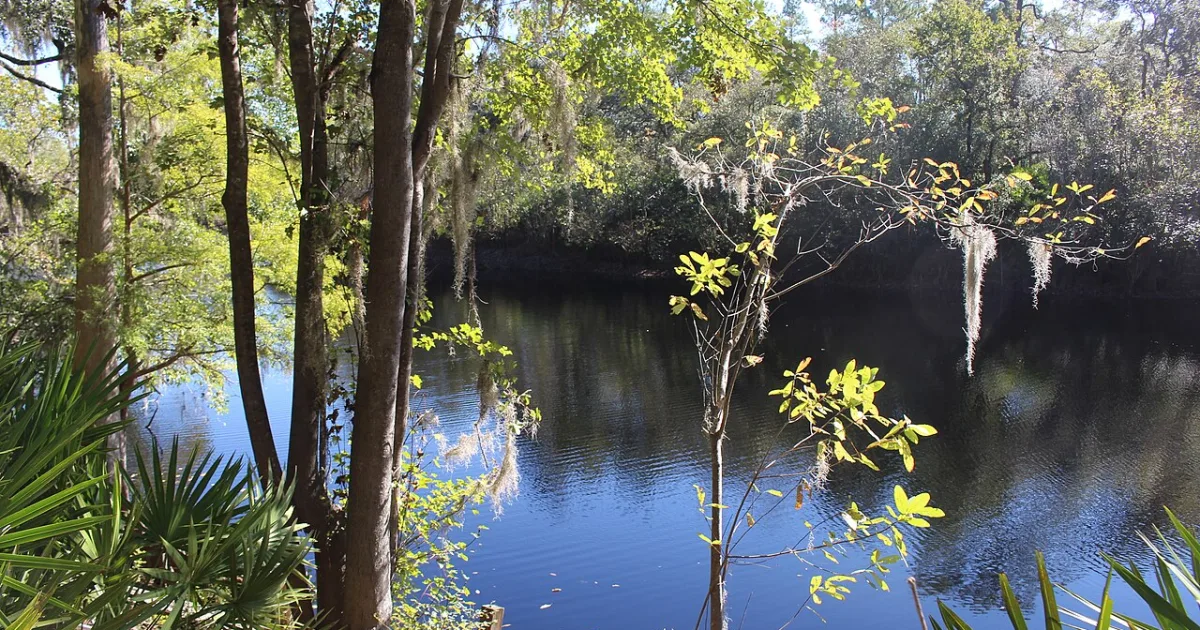 Big Shoals Trail — Big Shoals SP, FL