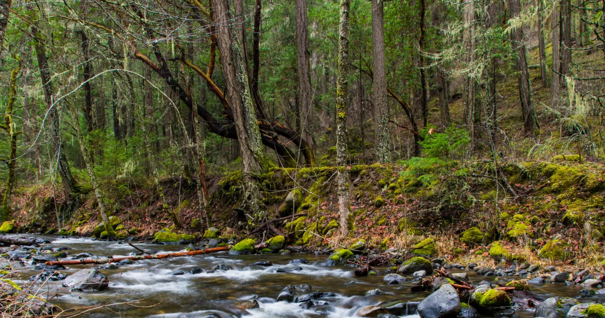 Big Spring to Current River