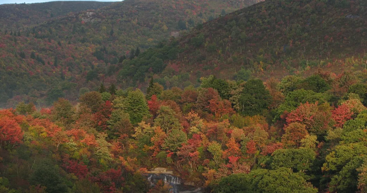 Black Balsam Knob Trail