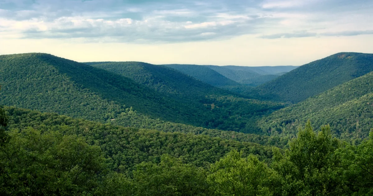 Black Hills State Forest Loop