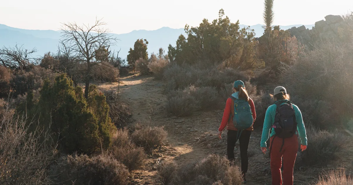 Black Mountain Crest Trail — Pisgah NF, NC