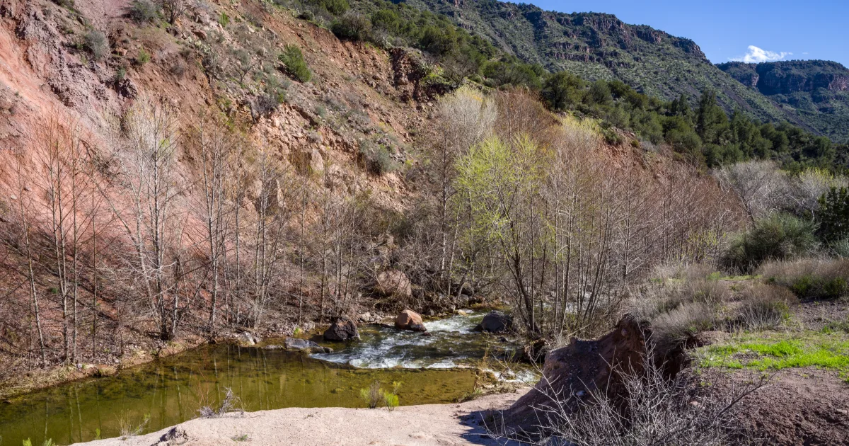 Blankets Creek MTB — Blankets Creek, GA