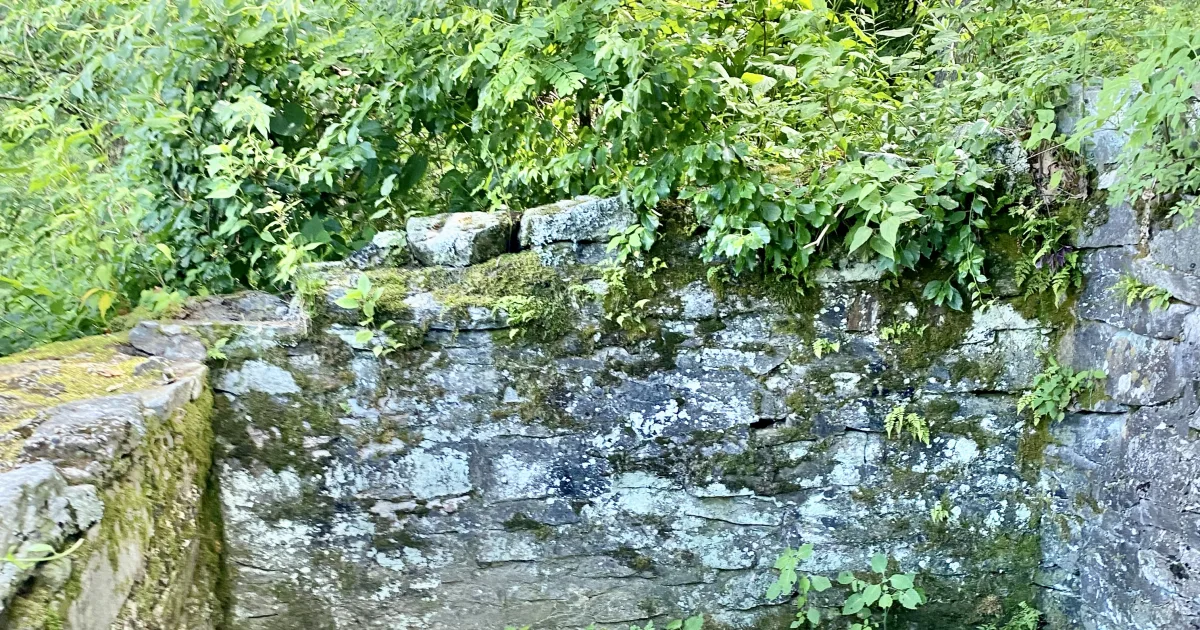Blue Ridge Parkway: Rough Ridge Loop — Blowing Rock, NC