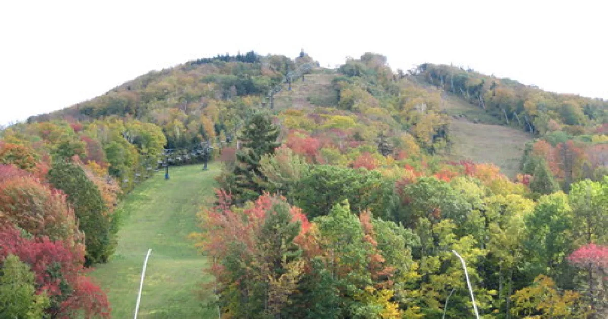 Blueberry Hill: Romance MTB Loop — Goshen, Vermont