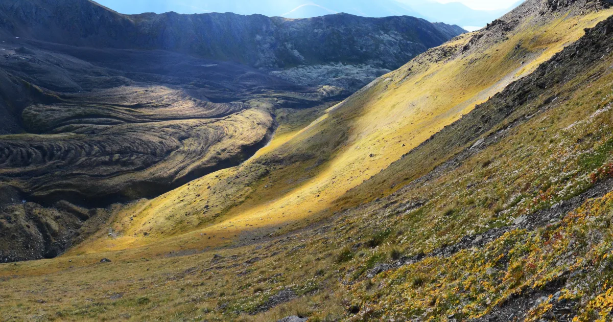 Bold Ridge Trail