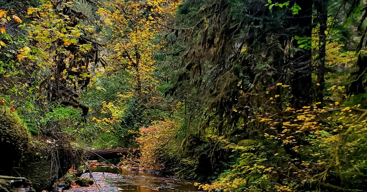 Booth Falls Trail