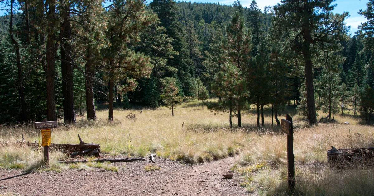 Bowl of Fire Trail