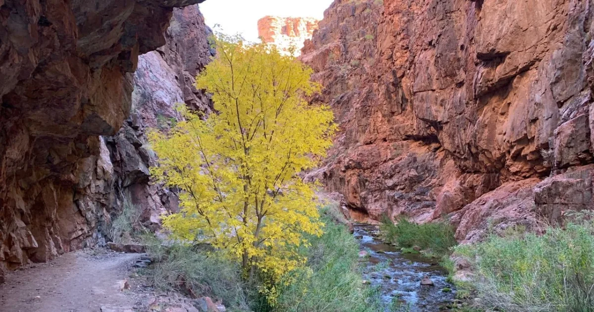 Boxelder Creek Trail SD