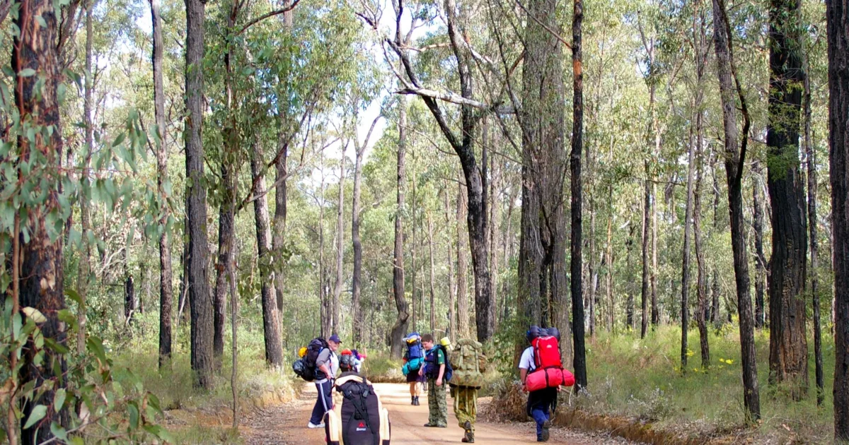 Boy Scout Trail