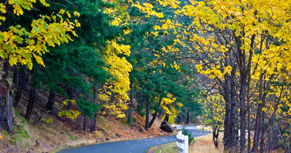 BPA Road to Rowena MTB