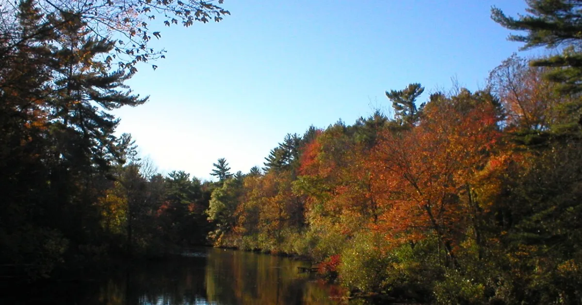 Bradley Palmer State Park Trail