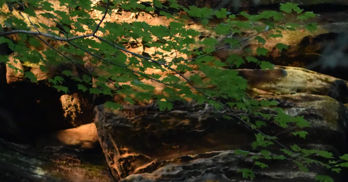 Brandywine Gorge Trail