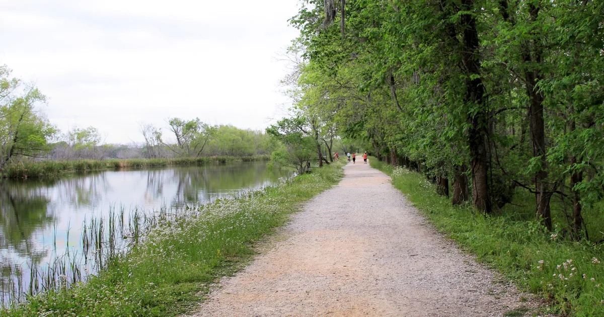 Brazos Bend Elm Lake Loop