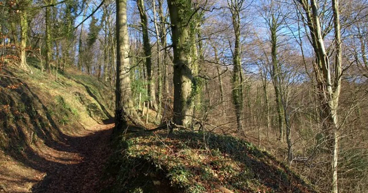 Breakheart Trail at Arcadia Management Area