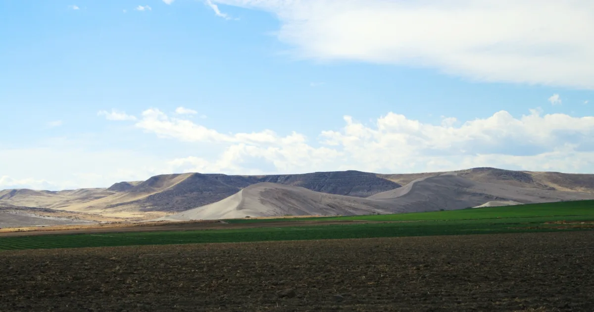 Bruneau Sand Dunes Trail