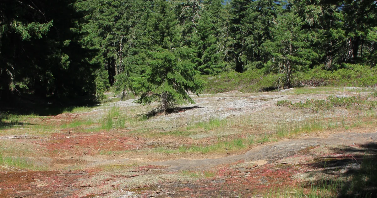 Buck Hill Management Area Trail
